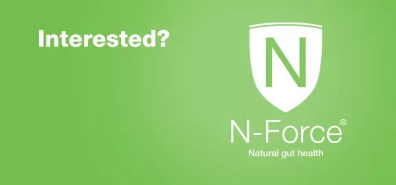 Nforce CTA
