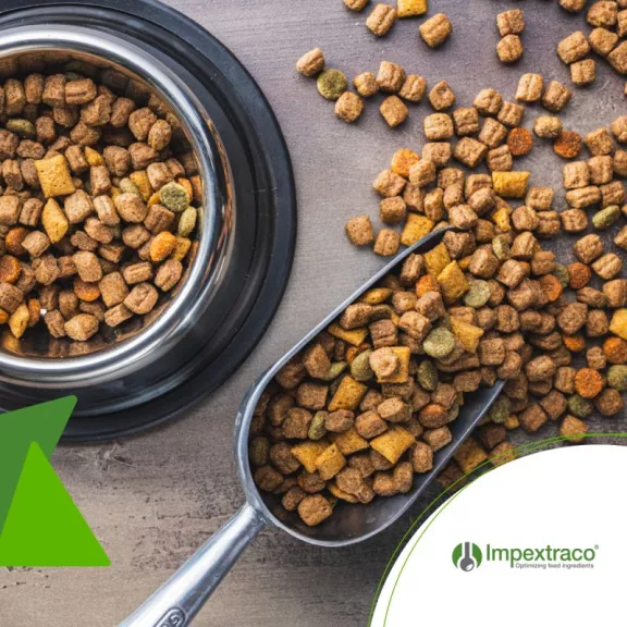 Update Brazilian animal feed industry